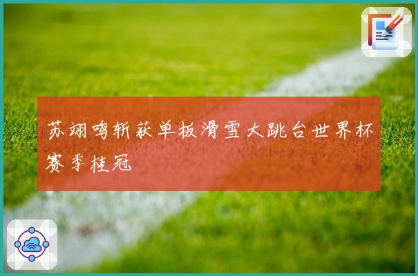 苏翊鸣斩获单板滑雪大跳台世界杯赛季桂冠