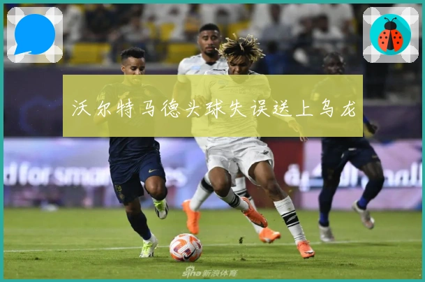 沃尔特马德头球失误送上乌龙